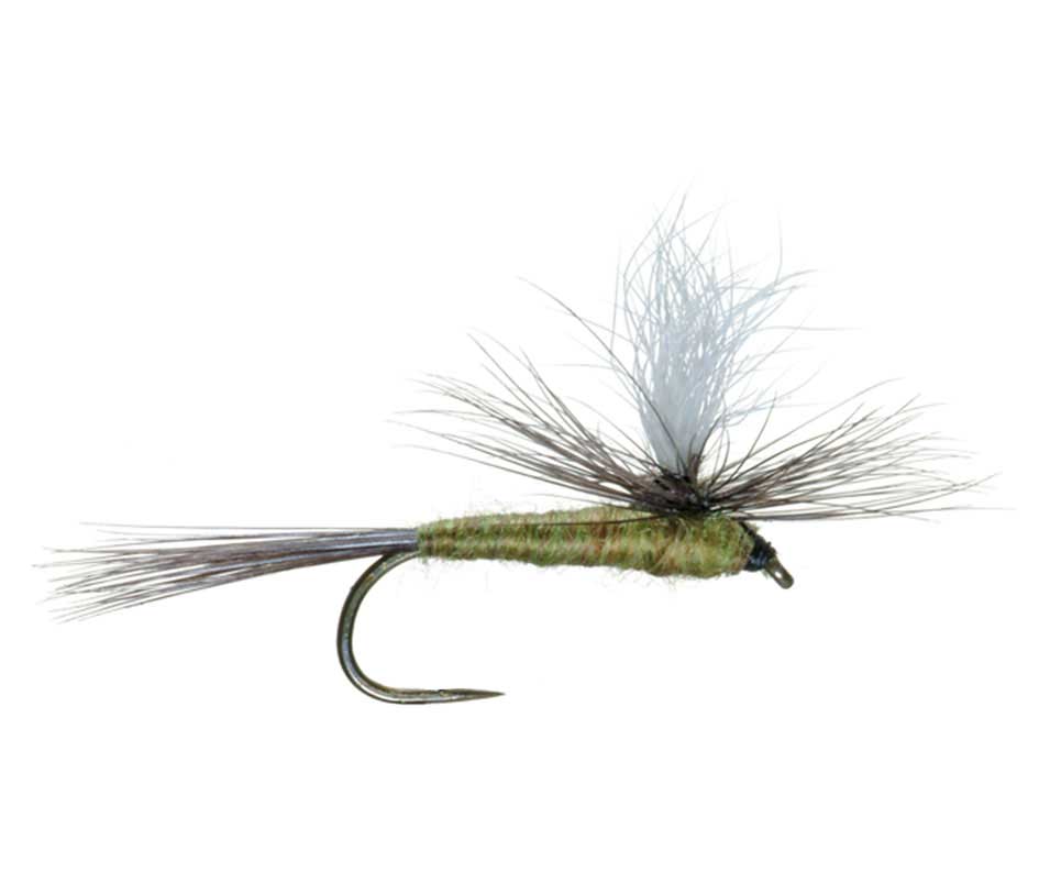 Barbless Dry Flies selection featuring premium catch and release options for successful fishing trips