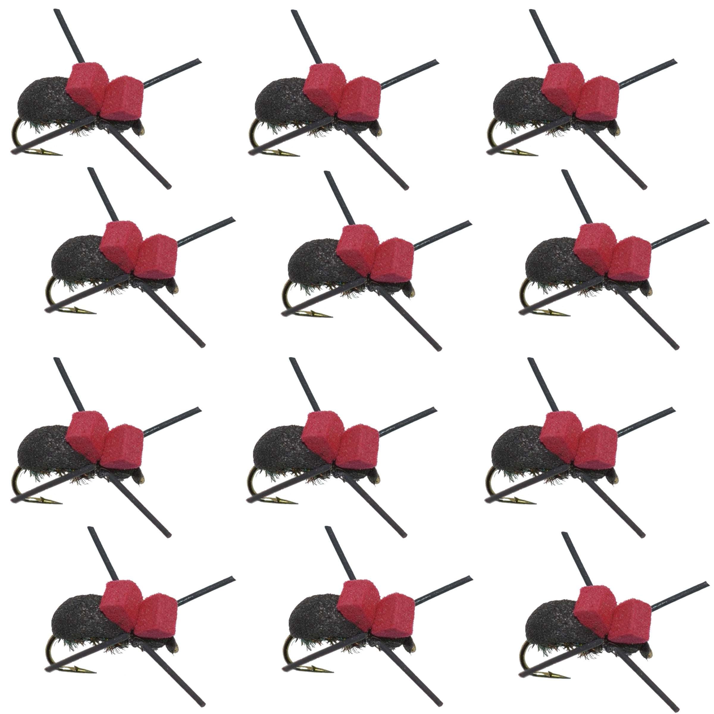 Red Spot Black Foam Beetle Flies - Wholesale Per Dozen Size 12
