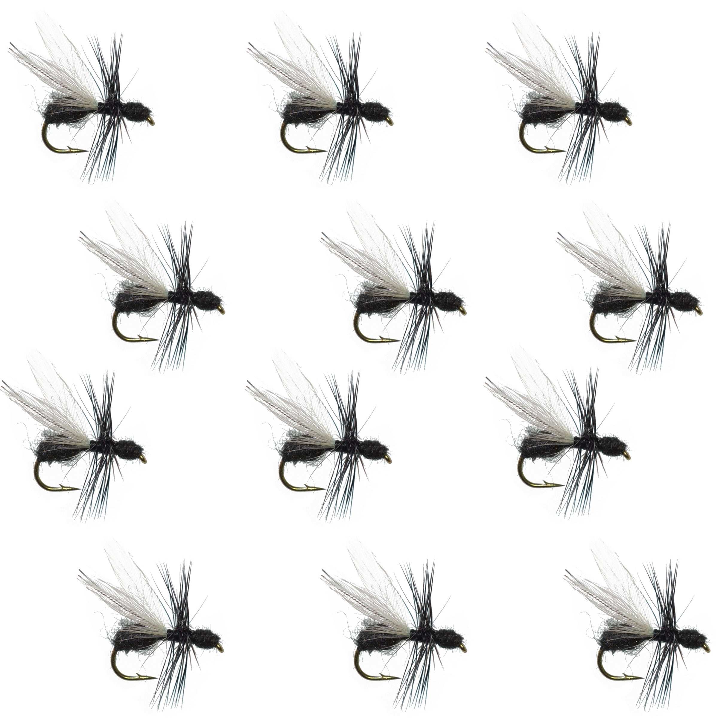 Flying Black Fur Ant Flies - Wholesale Per Dozen Size 12-18