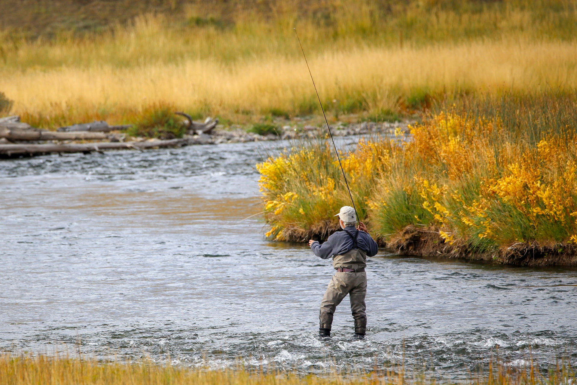 Adams Dry Flies - Wholesale Per Dozen Sizes 10 - 20