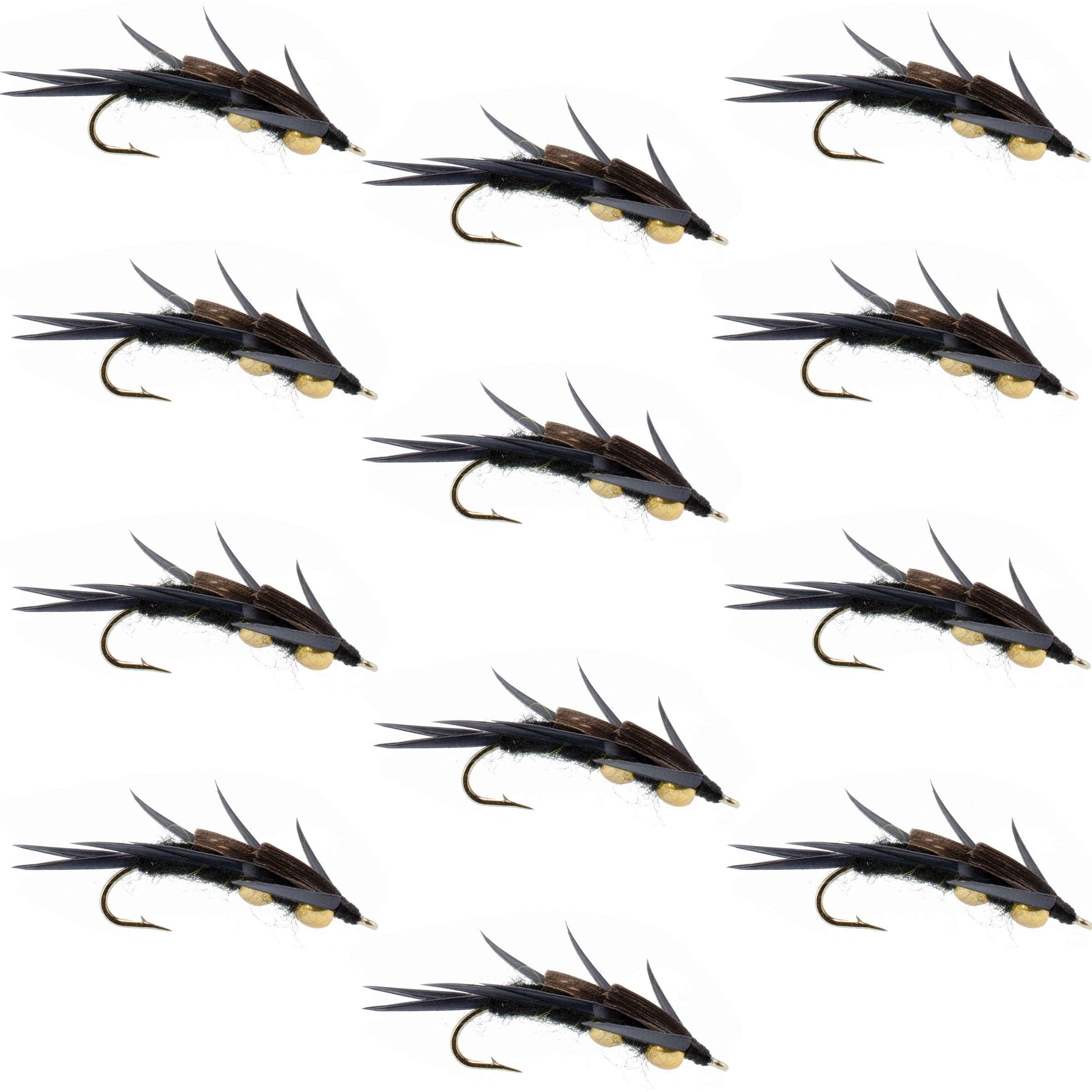 Double Bead Black Stone Fly Nymph with Black Biot Legs - Wholesale Per Dozen Sizes 6-12