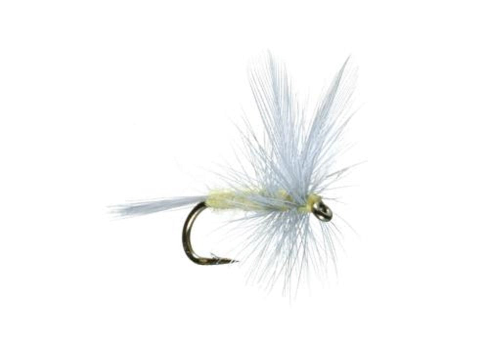 Pale Morning Dun PMD Dry Flies - Wholesale Per Dozen Sizes 14-18