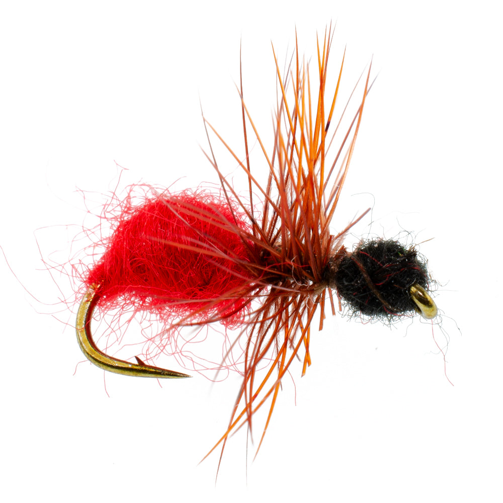 Cow Killer Red/Black Fur Ant Flies - Wholesale Per Dozen Size 12