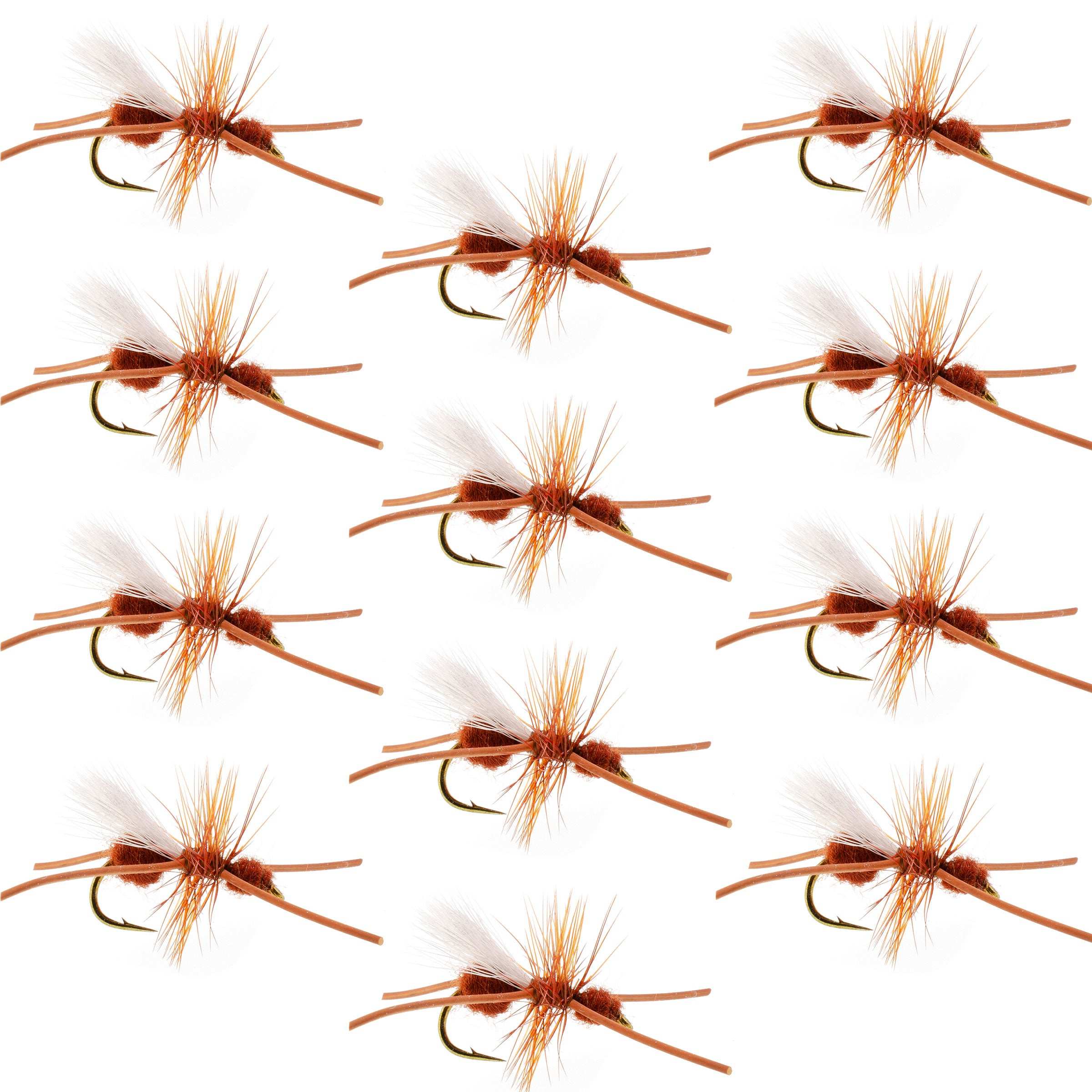Turcks Cinnamon Power Ant Flies - Wholesale Per Dozen Size 12