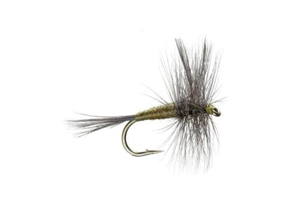 Blue Winged Olive Dry Flies in sizes 14-20, perfect for trout fishing, available wholesale per dozen
