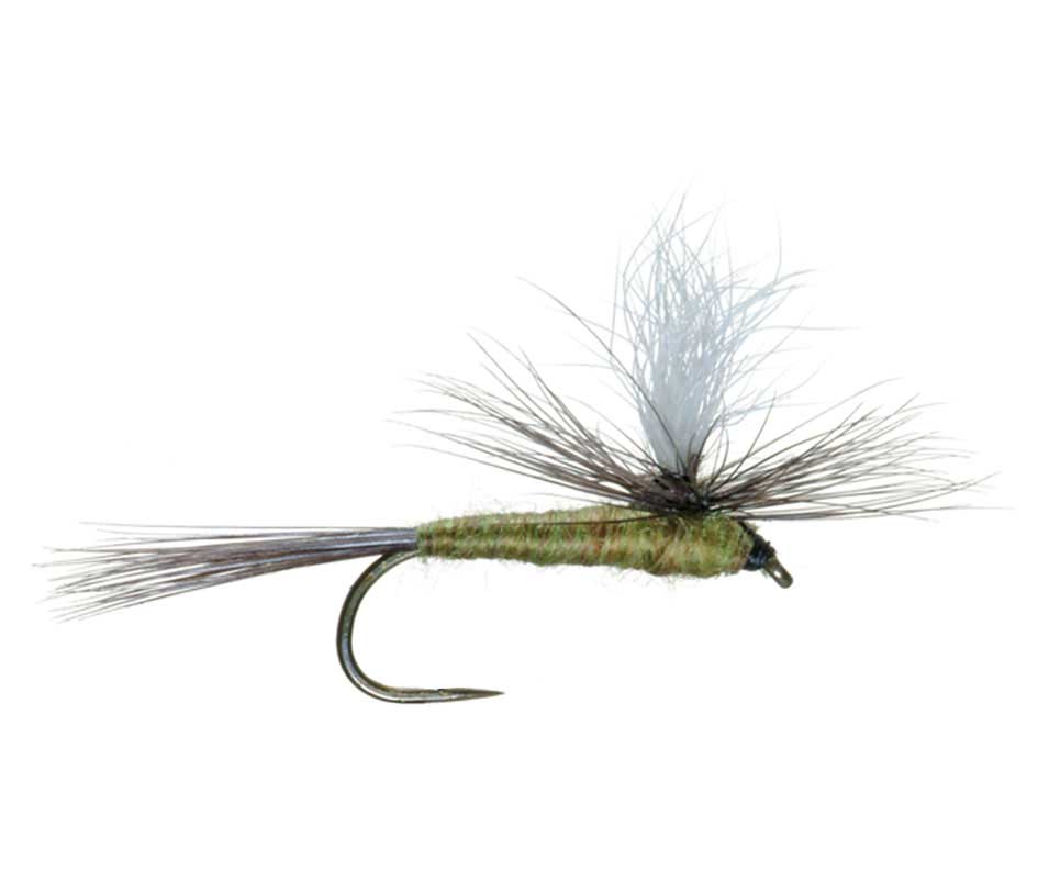 Barbless Dry Flies