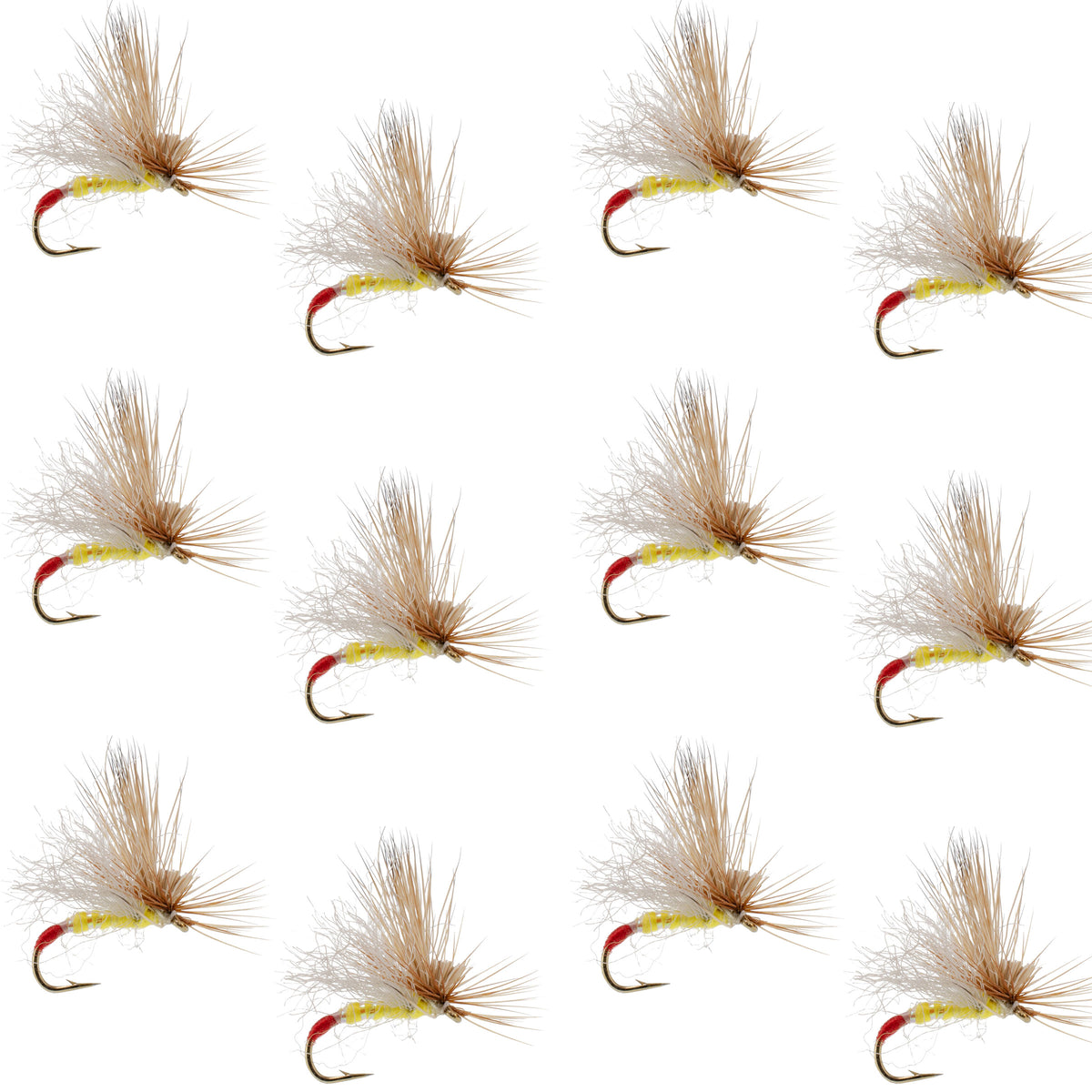 Missing Link Yellow Sally - Wholesale Per Dozen Sizes 14-16