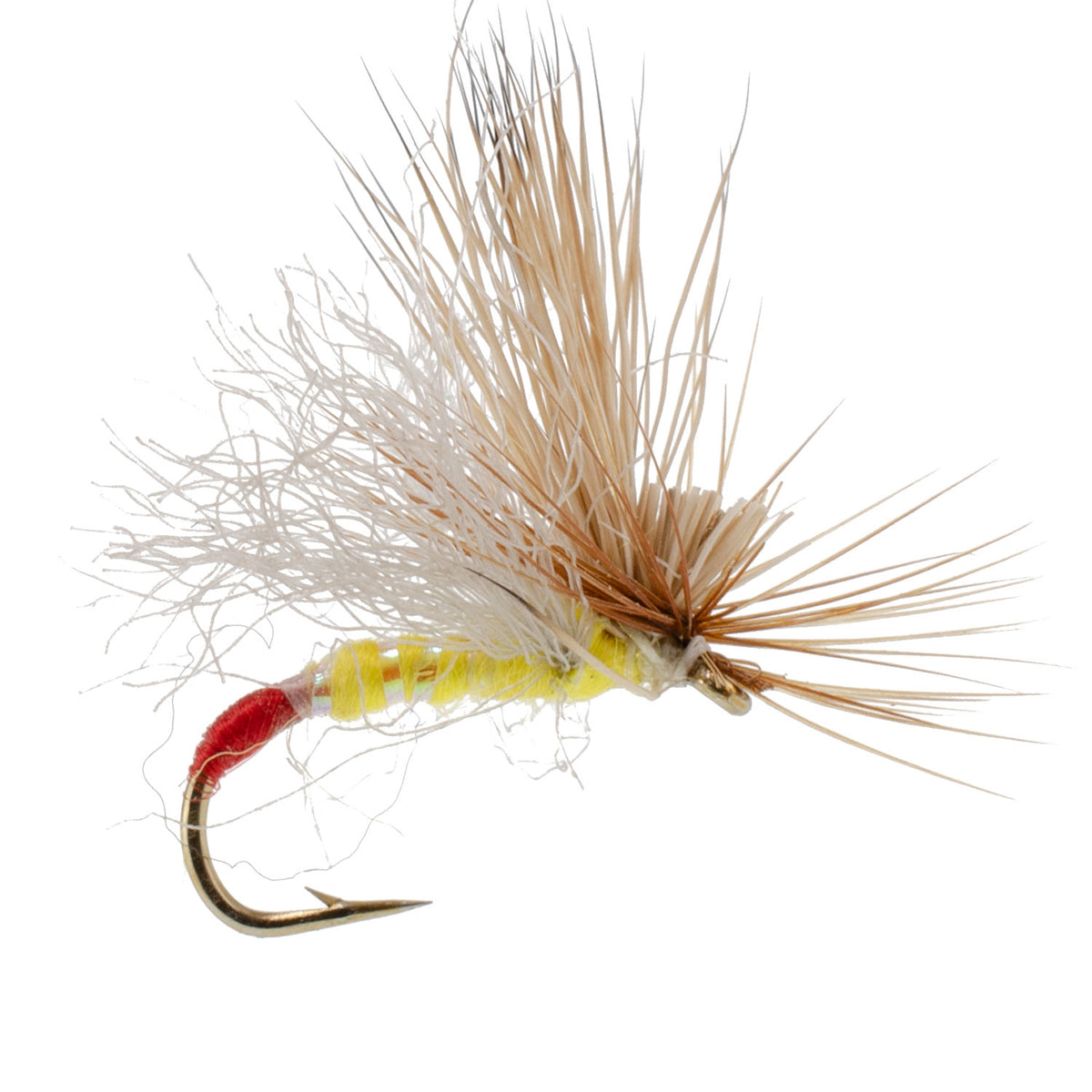 Missing Link Yellow Sally - Wholesale Per Dozen Sizes 14-16