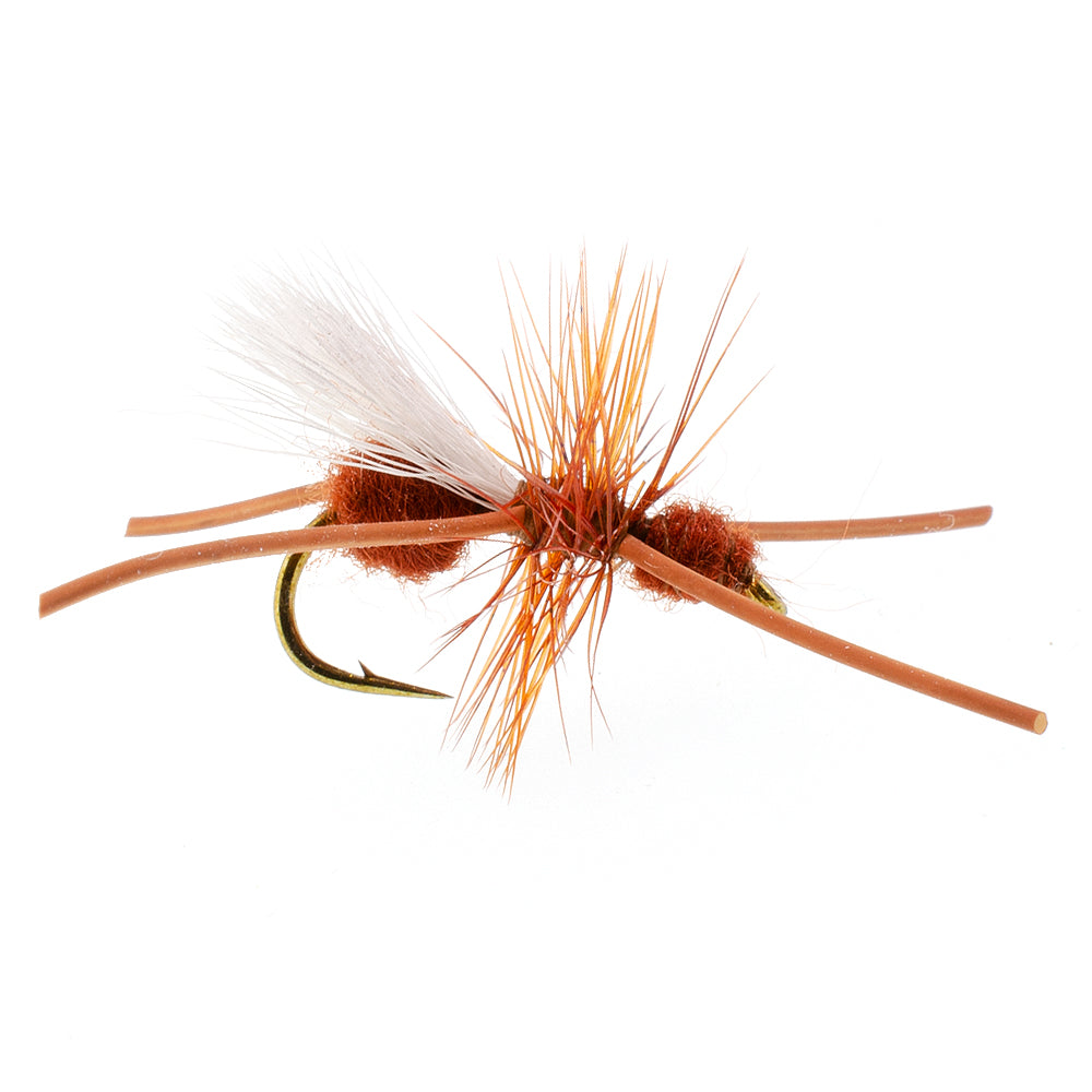 Turcks Cinnamon Power Ant Flies - Wholesale Per Dozen Size 12