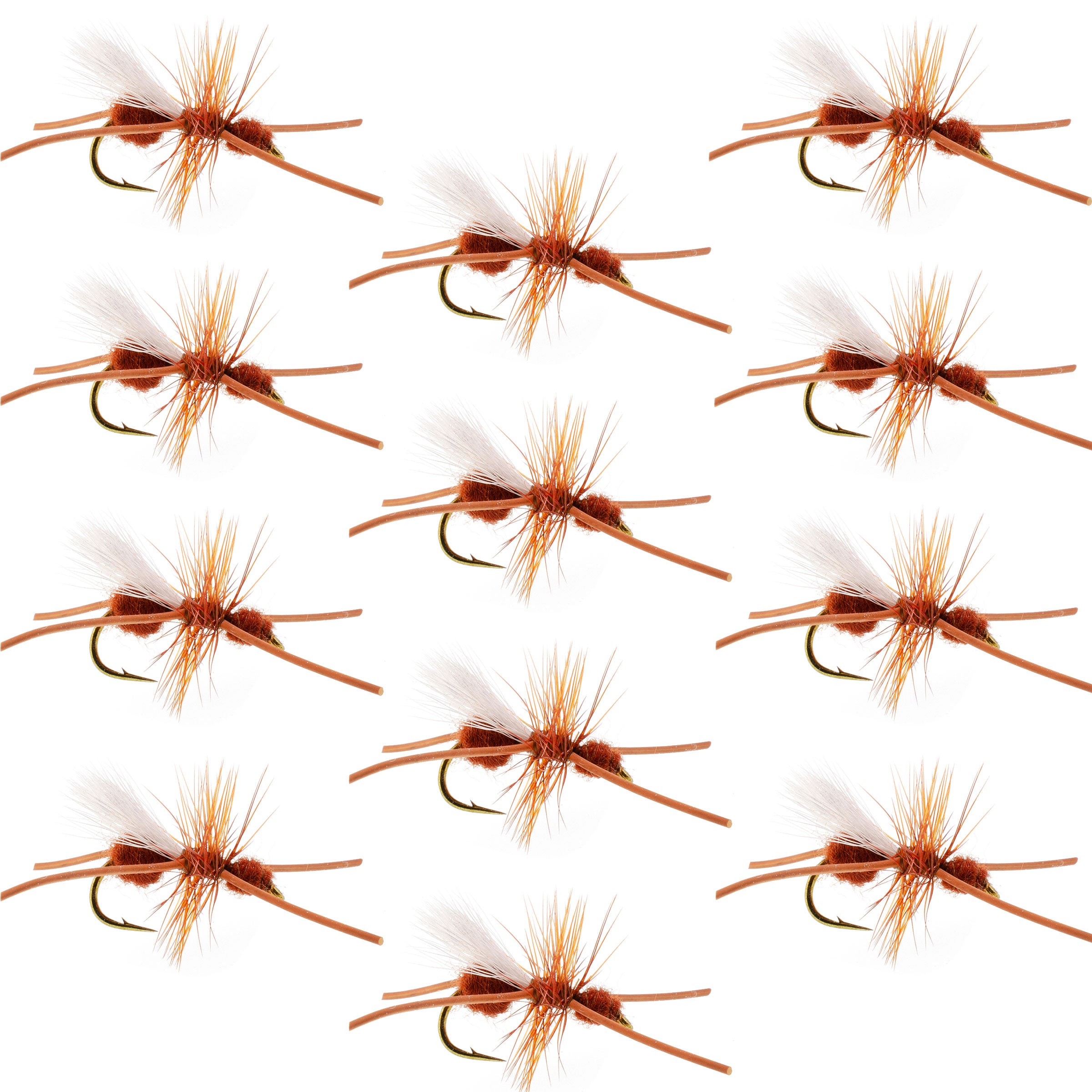 Turcks Cinnamon Power Ant Flies - Wholesale Per Dozen Size 12